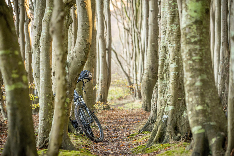 Hoeveel Nm e-bike Veluwe heb je nodig?