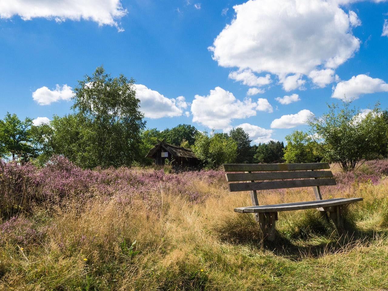 Hoeveel accucapaciteit heb je écht nodig op de Veluwe?