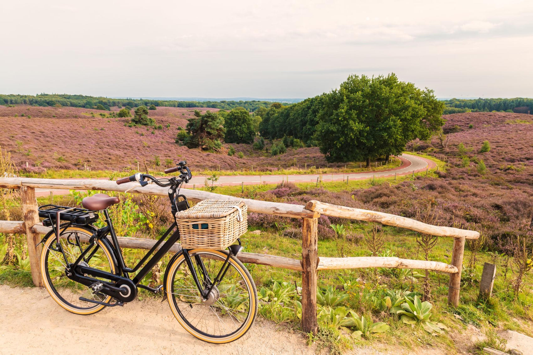 E bike accu Veluwe, welke heb je nodig?