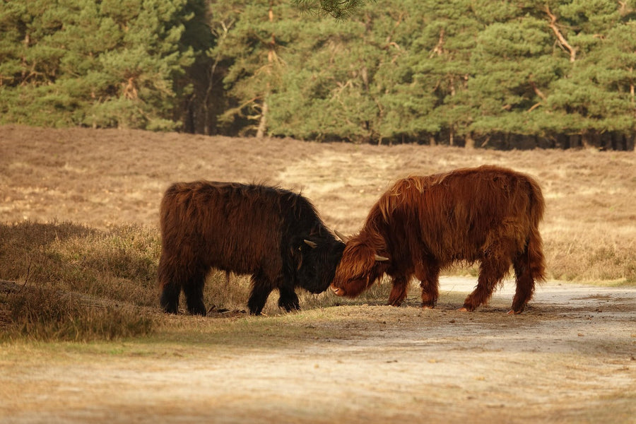 Hoe lang gaat een e-bike mee? Realistische verwachtingen en eerlijk onderhoudsadvies