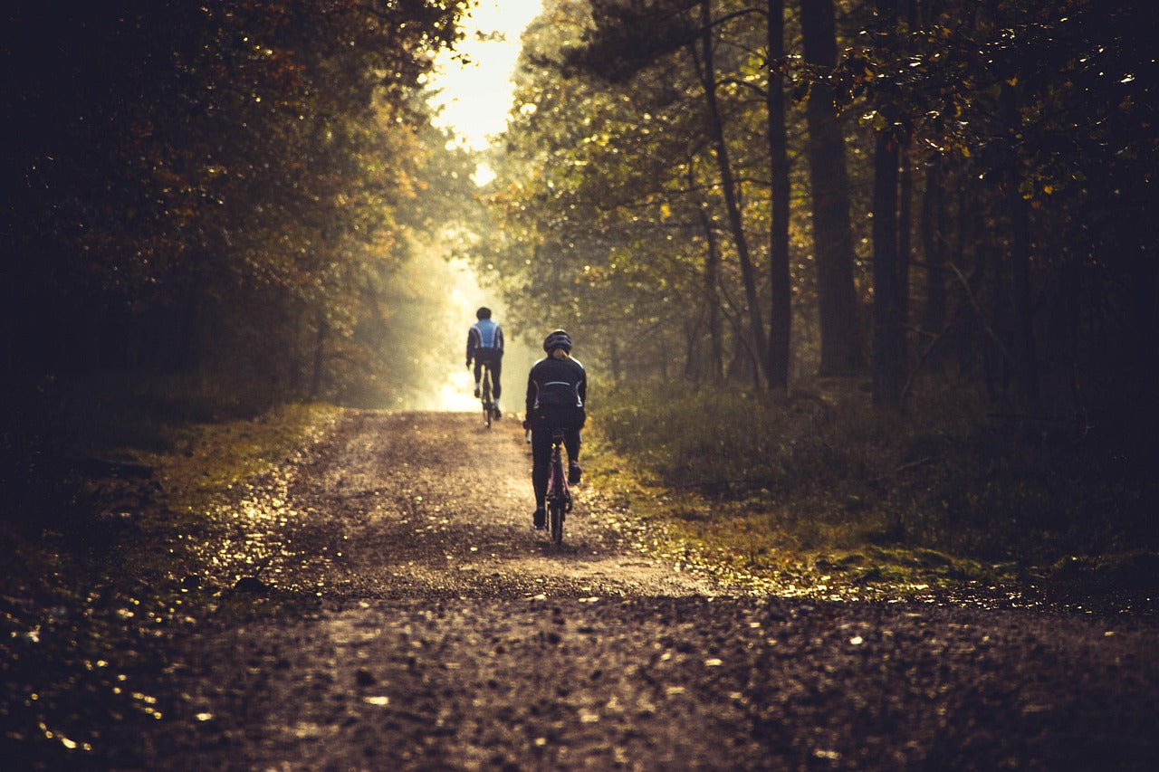 Welke e-bike past bij fietsen op de Veluwe? Zo maak je de juiste keuze